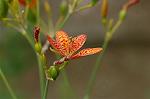 Dcim6945/DSC_5351