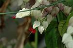 Dcim6945/DSC_5375