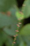 Dcim6947/DSC_5398