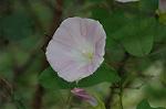 Dcim6947/DSC_5404