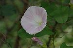 Dcim6947/DSC_5405