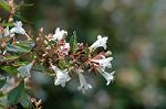 Dcim6947/DSC_5416