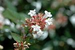 Dcim6947/DSC_5423