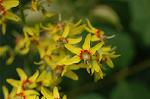 Dcim6947/DSC_5469