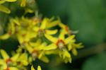 Dcim6947/DSC_5470