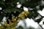 Dcim6947/DSC_5487