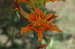 Dcim6948/DSC_5508