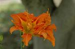 Dcim6948/DSC_5510