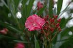 Dcim6948/DSC_5512