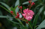 Dcim6948/DSC_5514