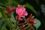Dcim6948/DSC_5521