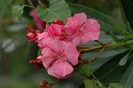 Dcim6948/DSC_5524