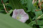 Dcim6948/DSC_5552