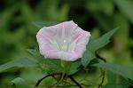Dcim6948/DSC_5553