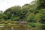 Dcim6949/DSC_4337
