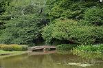 Dcim6949/DSC_4339