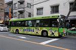 Dcim6950/DSC_4364
