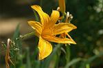 Dcim6954/DSC_5610