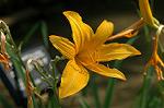 Dcim6954/DSC_5611