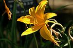 Dcim6954/DSC_5613