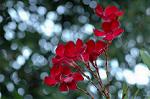 Dcim6954/DSC_5650
