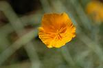 Dcim6954/DSC_5670