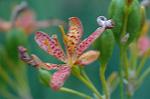 Dcim6955/DSC_5762