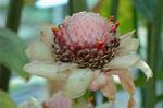 Dcim6955/DSC_5767