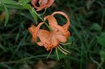 Dcim6957/DSC_5810