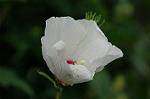 Dcim6957/DSC_5816