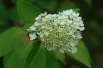 Dcim6957/DSC_5820