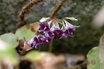 Dcim6957/DSC_5869