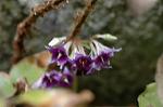 Dcim6957/DSC_5874