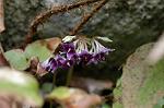 Dcim6957/DSC_5876