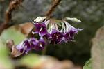 Dcim6957/DSC_5880