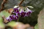 Dcim6957/DSC_5881