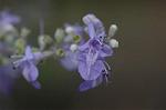 Dcim6960/DSC_5977