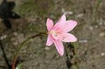 Dcim6960/DSC_6008