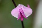 Dcim6961/DSC_6048