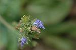 Dcim6961/DSC_6057