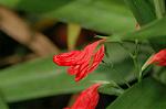 Dcim6961/DSC_6085