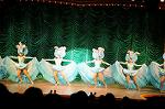 Dcim6967/DSC_0560