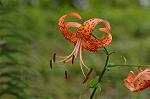 Dcim6970/DSC_6150