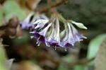 Dcim6970/DSC_6176