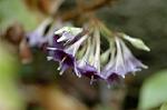Dcim6970/DSC_6181