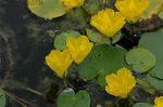 Dcim6970/DSC_6213