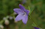 Dcim6970/DSC_6224