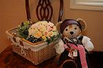 Dcim6975/DSC_0375