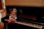 Dcim6978/DSC_0656