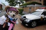 Dcim6984/DSC_0491